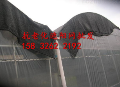 遮陽网