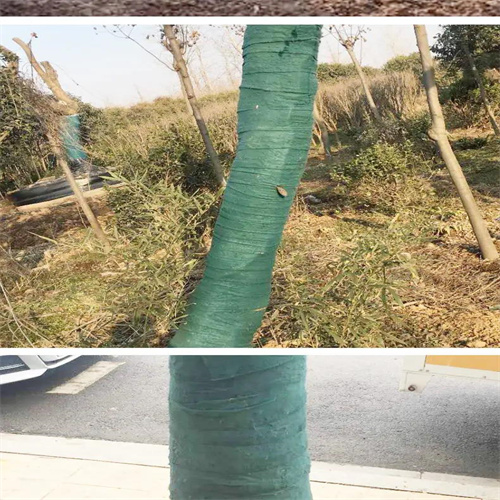天津双面防水防寒布厂家直销 环保包装膜